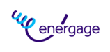 React jobs at Energage